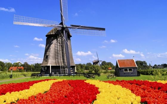 荷兰旅游：郁金香，风车王国荷兰之旅,欧洲,欧洲网