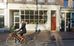 荷兰首都阿姆斯特丹的郁金香博物馆