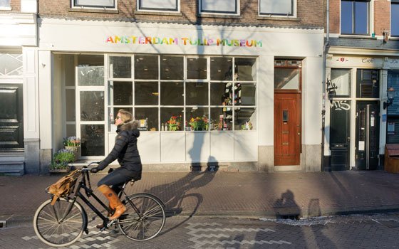 荷兰首都阿姆斯特丹的郁金香博物馆,欧洲,欧洲网