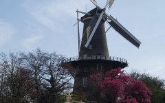 荷兰风车之旅六：莱顿市德·法尔克磨坊风车