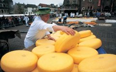 荷兰奶酪王国之旅：阿克马奶酪博物馆_holland