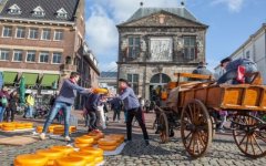 荷兰奶酪王国之旅：豪达奶酪市场_holland
