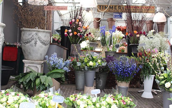 荷兰旅游：阿姆斯特丹花卉市场漂浮花市Bloemen,欧洲,欧洲网