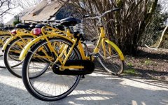 荷兰旅游：在阿姆斯特丹如何租自行车费用多少