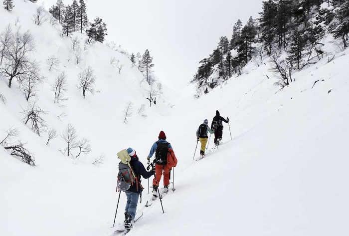 芬兰旅游:比哈滑雪度假村PYHÄSKIRESORT-洛斯托LUOSTO国家公园,欧洲,欧洲网