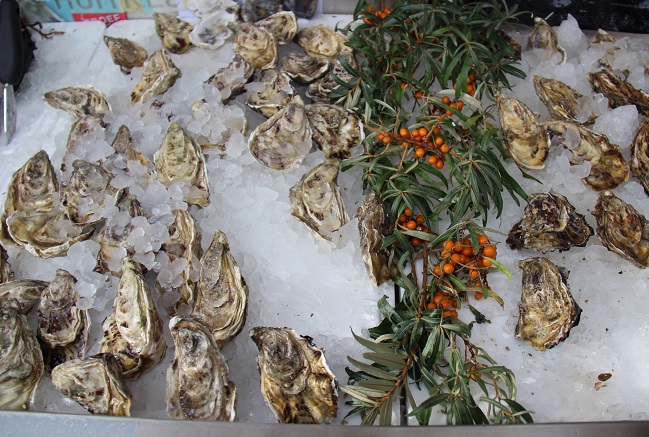 丹麦美食之旅:奥胡斯美食节-丹麦顶级厨师和北欧各地食材原料,欧洲