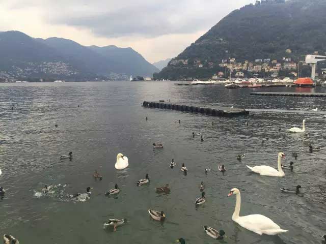 10天欧洲游大概多少钱?欧洲游意大利自助游10天费用,欧洲,欧洲网