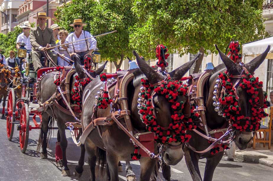 安达卢西亚传统节日:马拉加八月节-马拉加古城贝尔迪亚尔乐队游,欧洲,欧洲网