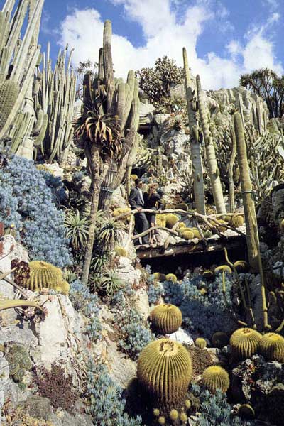 摩纳哥旅游景点:JardinExotique热带植物园大道上的热带植物园和溶洞,欧洲,欧洲网