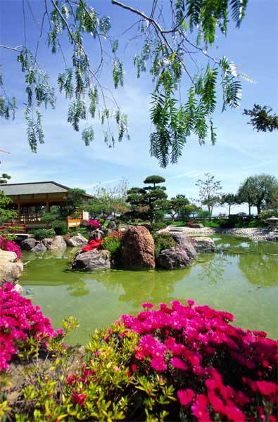 摩纳哥旅游景点:格雷斯公主大道上的摩纳哥日本公园,欧洲,欧洲网