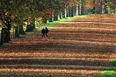 海德公园Hyde Park, London:英国伦敦最著名最大的公园海德公园