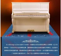 英国钢琴品牌PASQUALE&CO钢琴成为京东乐器品类618购物节销量冠军