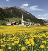 瑞士阿尔卑斯山脉小镇-贝尔金Bergün因风景美丽禁止拍照-偷拍罚5欧元