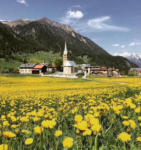 瑞士阿尔卑斯山脉小镇-贝尔金Bergün因风景美丽禁止拍照-偷拍罚5欧元,欧洲,欧洲网
