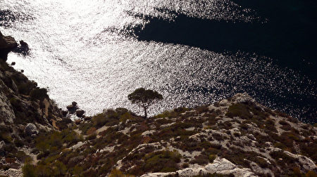法国峡湾国家公园:马赛南海岸卡朗格湾区Massif des Calanques,欧洲,欧洲网