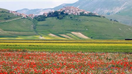 欧洲18个不可思议景点:意大利Umbria的卡斯特卢西奥山谷Castelluccio,欧洲,欧洲网