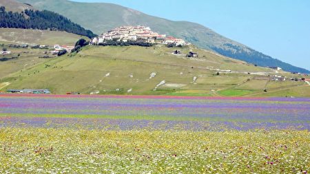 欧洲18个不可思议景点:意大利Umbria的卡斯特卢西奥山谷Castelluccio,欧洲,欧洲网