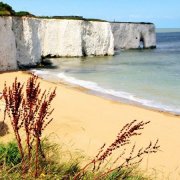 英国Kent肯特郡Broadstairs海滩旅游：植物湾Botany Bay的海边白崖