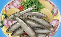 俄罗斯美食：俄罗斯腌鱼соленая рыба-腌沙丁鱼做法介绍