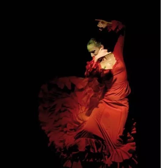 西班牙塞维利亚弗拉明戈双年展（Bienal de Flamenco）,欧洲,欧洲网