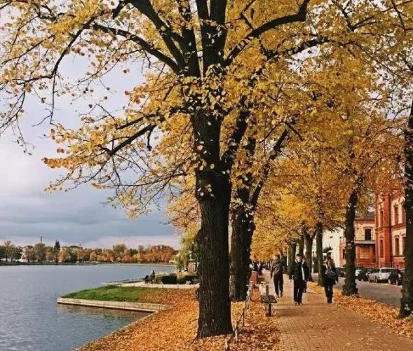 德国什未林城堡Schweriner Schloss:童话般的水上古堡-什未林城堡,欧洲