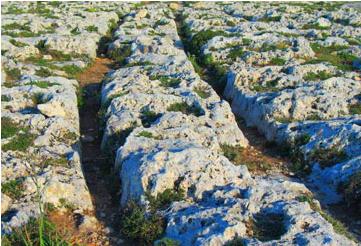 马耳他旅游：克拉珀姆枢纽站Buskett, limits of Ħad-Dingli, Malta,欧洲,欧洲网