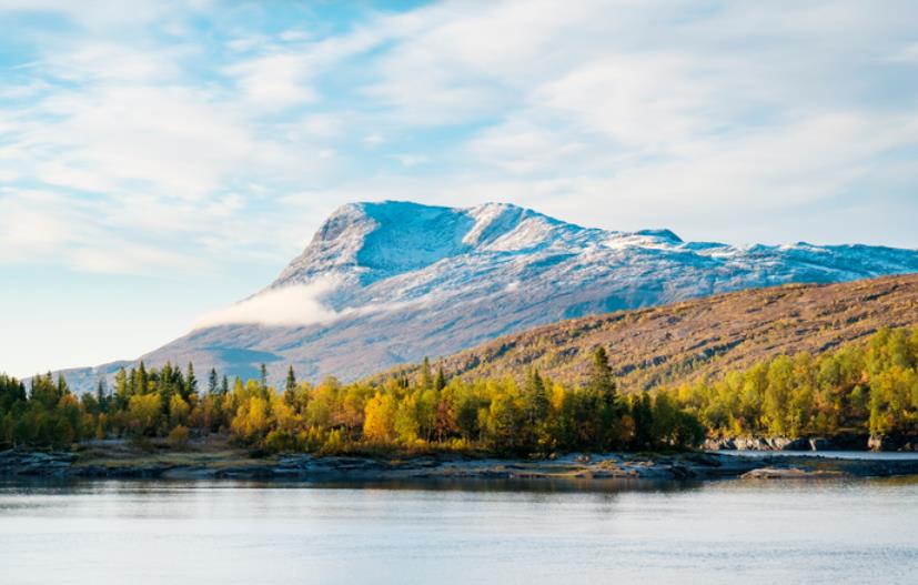 挪威博尔格Børgefjell国家公园-挪威的森林-北极狐栖息地,欧洲