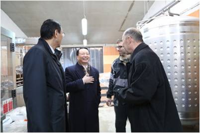 驻斯洛伐克大使林琳赴斯特尔纳瓦市拜会工商会主席,欧洲,欧洲网