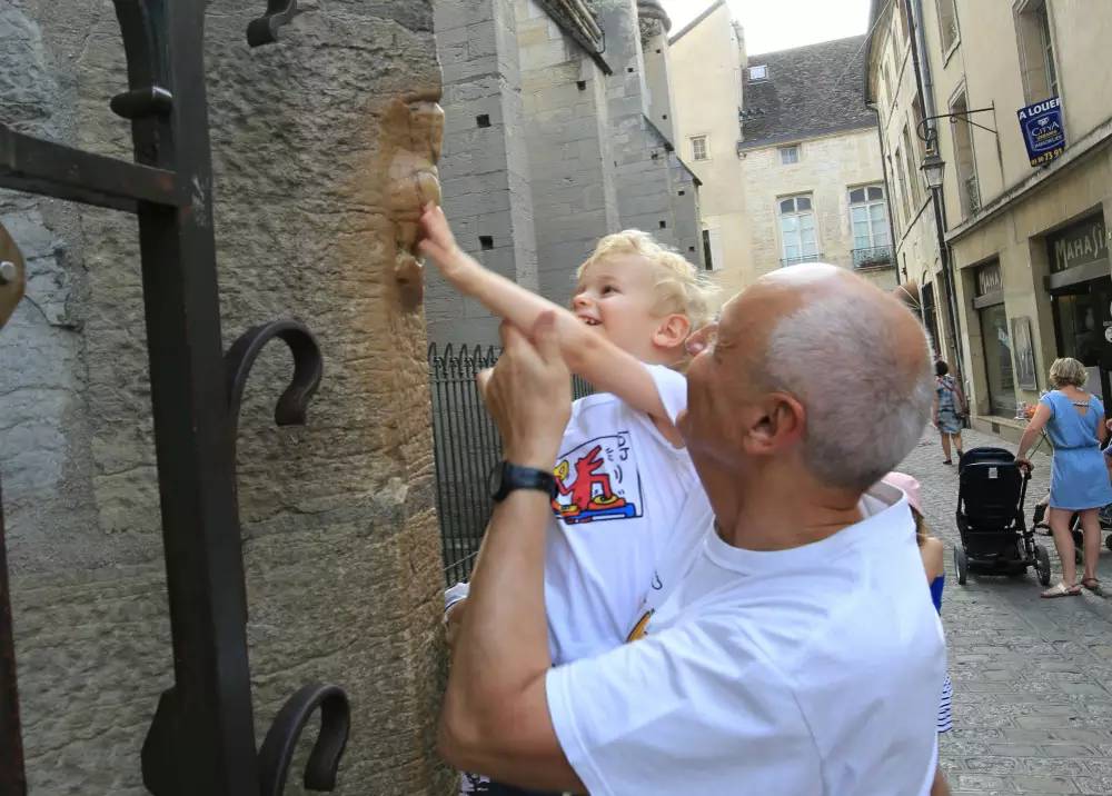 法国旅游:中部古城及葡萄酒之都-勃艮第首府第戎Dijon,欧洲,欧洲网