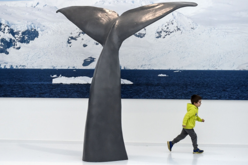 极地博物馆:全球第一座极地博物馆在法国东部普雷马农开幕,欧洲,欧洲网
