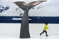 极地博物馆:全球第一座极地博物馆在法国东部普雷马农开幕