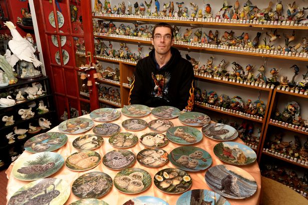 英国小伙30年收藏2万个鸟饰品 数百张与鸟有关的图片 杯子和拼图,欧洲,欧洲网