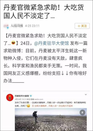 欧洲人吃生蚝吗?生蚝在欧洲的养殖历史悠久-丹麦生蚝泛滥系营销,欧洲,欧洲网