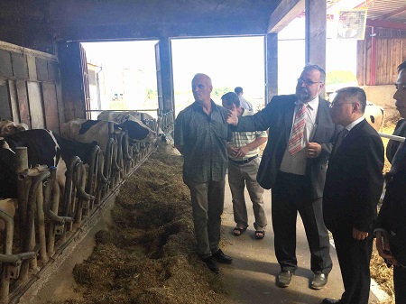 驻克罗地亚大使胡兆明访问克罗地亚最东部武科瓦尔·斯里耶姆省,欧洲,欧洲网