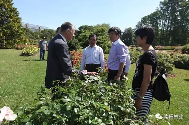 中国花卉协会月季分会参加斯洛文尼亚世界月季洲际大会,欧洲,欧洲网