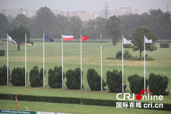 一带一路杯波兰站-丝绸之路大赛马-中国马会赛马委员会秘书长白煦出席,欧洲