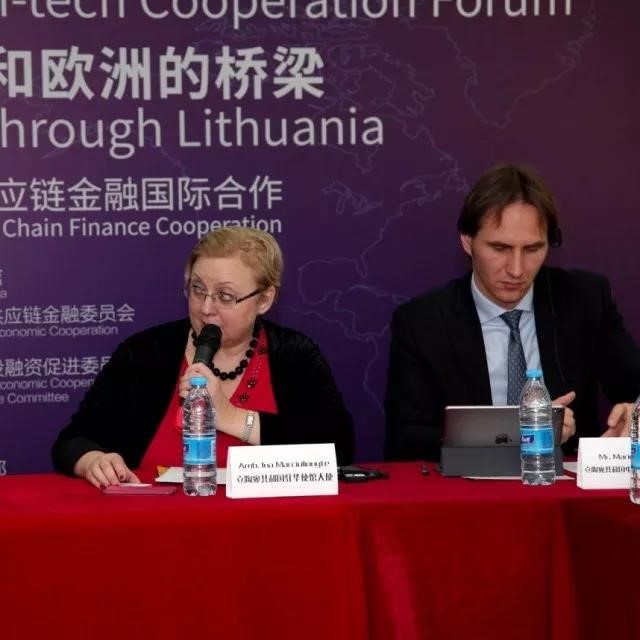 中国--立陶宛互联网金融国际合作高级研讨会在京,欧洲