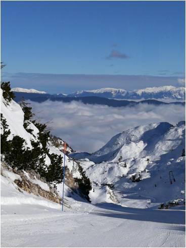 驻斯洛文尼亚使馆馆员与华侨华人赴沃格尔滑雪场Vogel Ski Center滑雪,欧洲