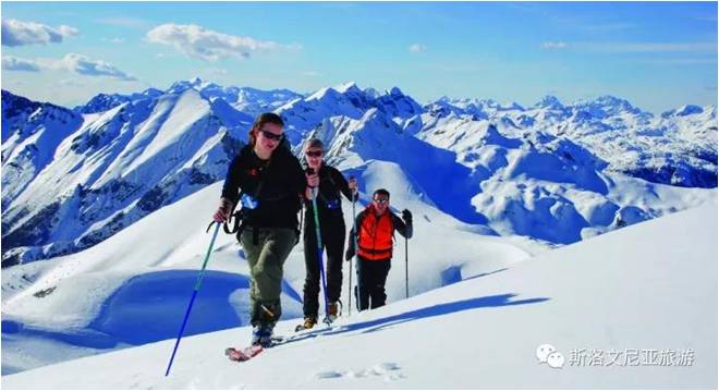 驻斯洛文尼亚使馆馆员与华侨华人赴沃格尔滑雪场Vogel Ski Center滑雪,欧洲,欧洲网