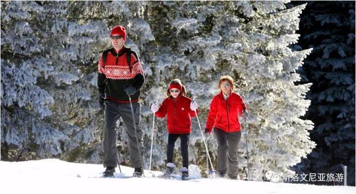 驻斯洛文尼亚使馆馆员与华侨华人赴沃格尔滑雪场Vogel Ski Center滑雪,欧洲,欧洲网