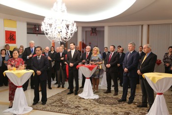 驻斯洛伐克大使林琳为举办新年招待会,欧洲,欧洲网